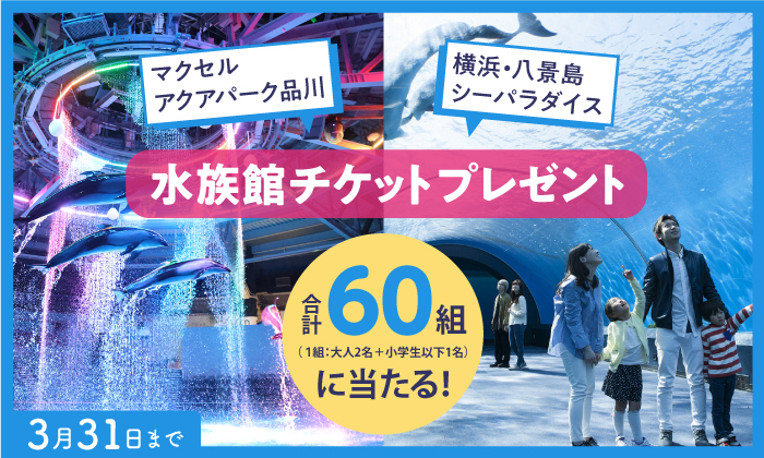 マクセル　アクアパーク　チケット　大人2名
