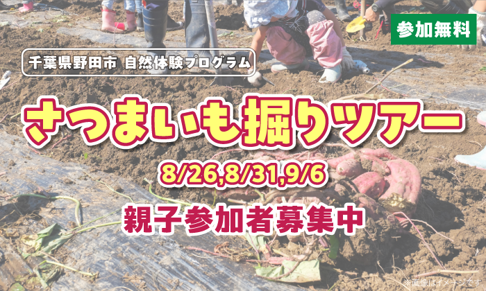 【お値下げ】必見！！子育てバイブル コドメル